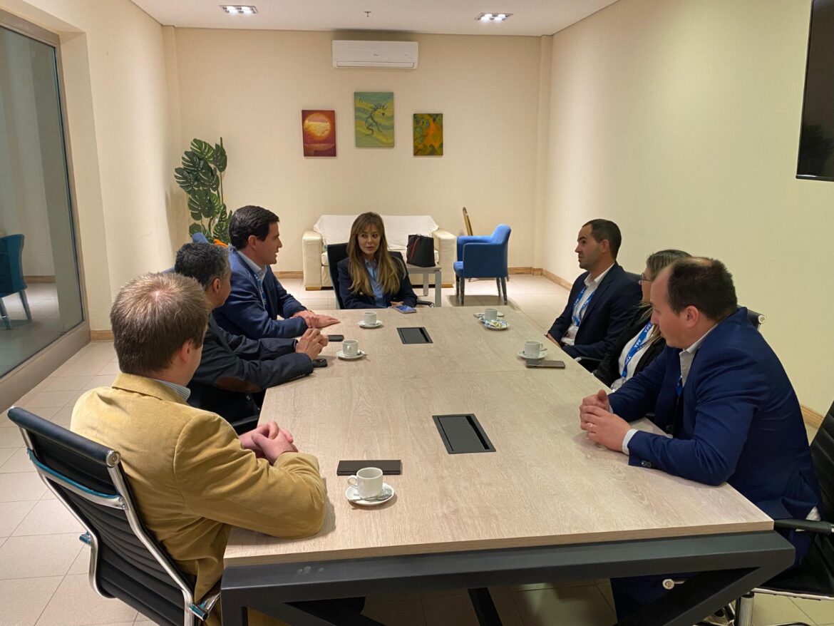 Cámaras mineras quieren participar de la Mesa del Litio