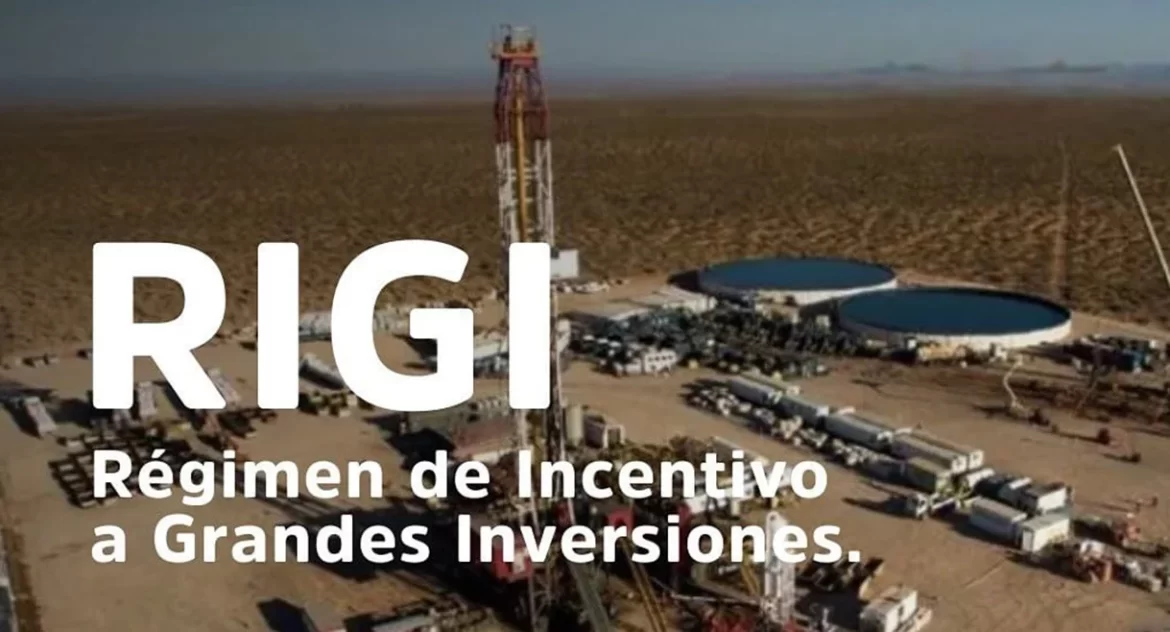 ¿Qué onda con el RIGI? Los trámites flotan en el mar de la burocracia