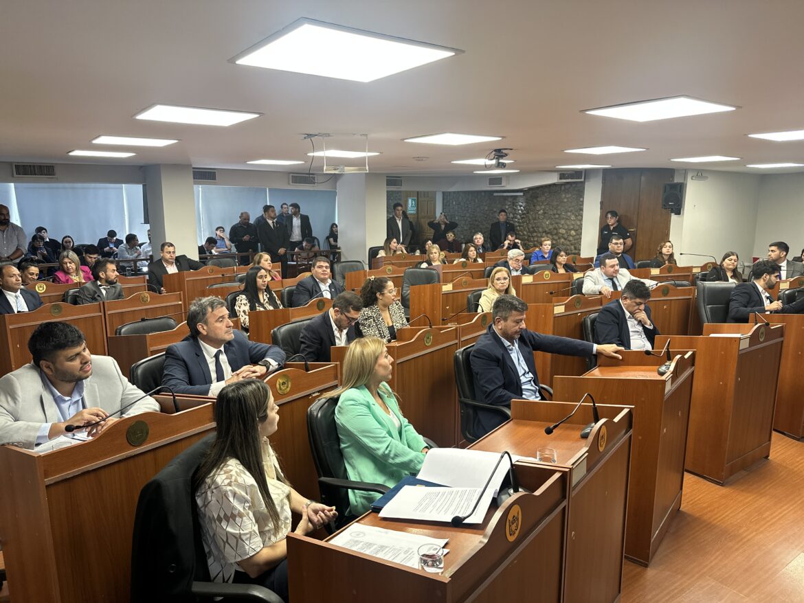 Las Reservas Minerales y el plan de la mina se están actualizando actualmente con base en la próxima estimación de Recursos Minerales para 2026, que incluye los resultados del programa de perforación exploratoria de la Fase V y las recuperaciones metalúrgicas finales de las pruebas realizadas recientemente. Paralelamente, se está llevando a cabo una labor de ingeniería de valor para optimizar el proyecto e identificar los paquetes de alcance para las obras iniciales. También está prevista la finalización de una evaluación económica preliminar sobre una posible futura operación de lixiviación en pilas para complementar el proyecto de lixiviación del tanque principal. -Obras Iniciales y Preparación de la Construcción: La ingeniería de detalle, la planificación de adquisiciones y las mejoras a la infraestructura existente avanzan en paralelo para garantizar la preparación de la construcción. Tras recibir el EIA, la Compañía tiene previsto iniciar las obras iniciales de forma gradual y disciplinada, a la vez que continúa avanzando con el financiamiento del proyecto. Estas actividades están diseñadas para preparar a Diablillos para una decisión final formal sobre la inversión y la construcción una vez que se cumplan las condiciones habituales.